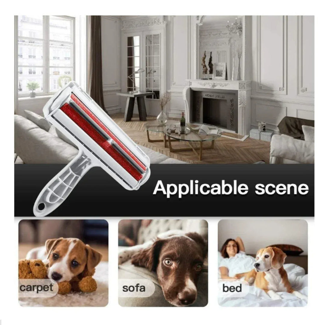 Gardez votre maison propre avec cette brosse anti-poils de chien et chat réutilisable pour tapis et canapé.