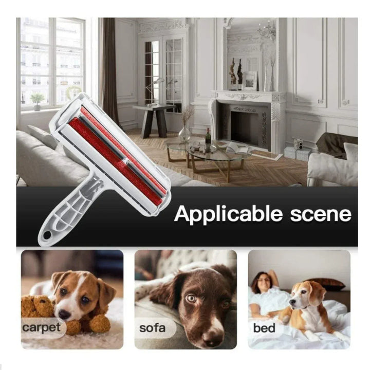 Gardez votre maison propre avec cette brosse anti-poils de chien et chat réutilisable pour tapis et canapé.