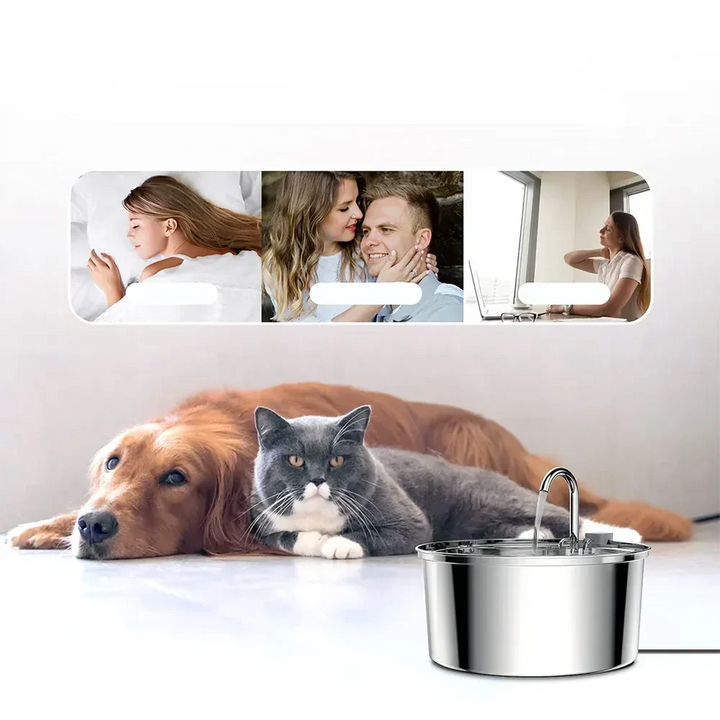 Jet d'eau apaisant d'une fontaine 3,2L pour chats et chiens, encourage la boisson et maintient l'eau fraîche.