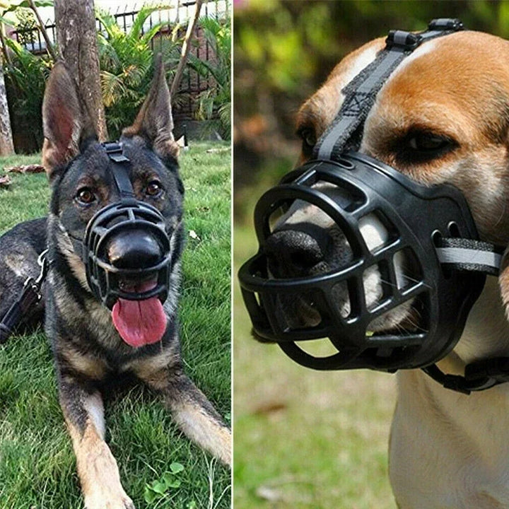 Accessoire chien : muselière en silicone douce et réglable, idéale pour le dressage et la sécurité.
