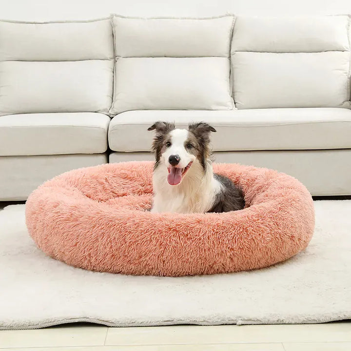 Lit apaisant et moelleux pour animaux de compagnie, parfait pour un repos luxueux et un bien-être accru du chien ou chat.