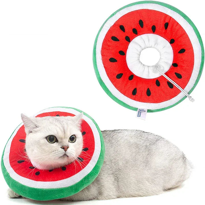 Collerette de protection pour chat après chirurgie, confortable et anti-léchage, en tissu doux, réglable.