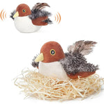 Oiseau brun