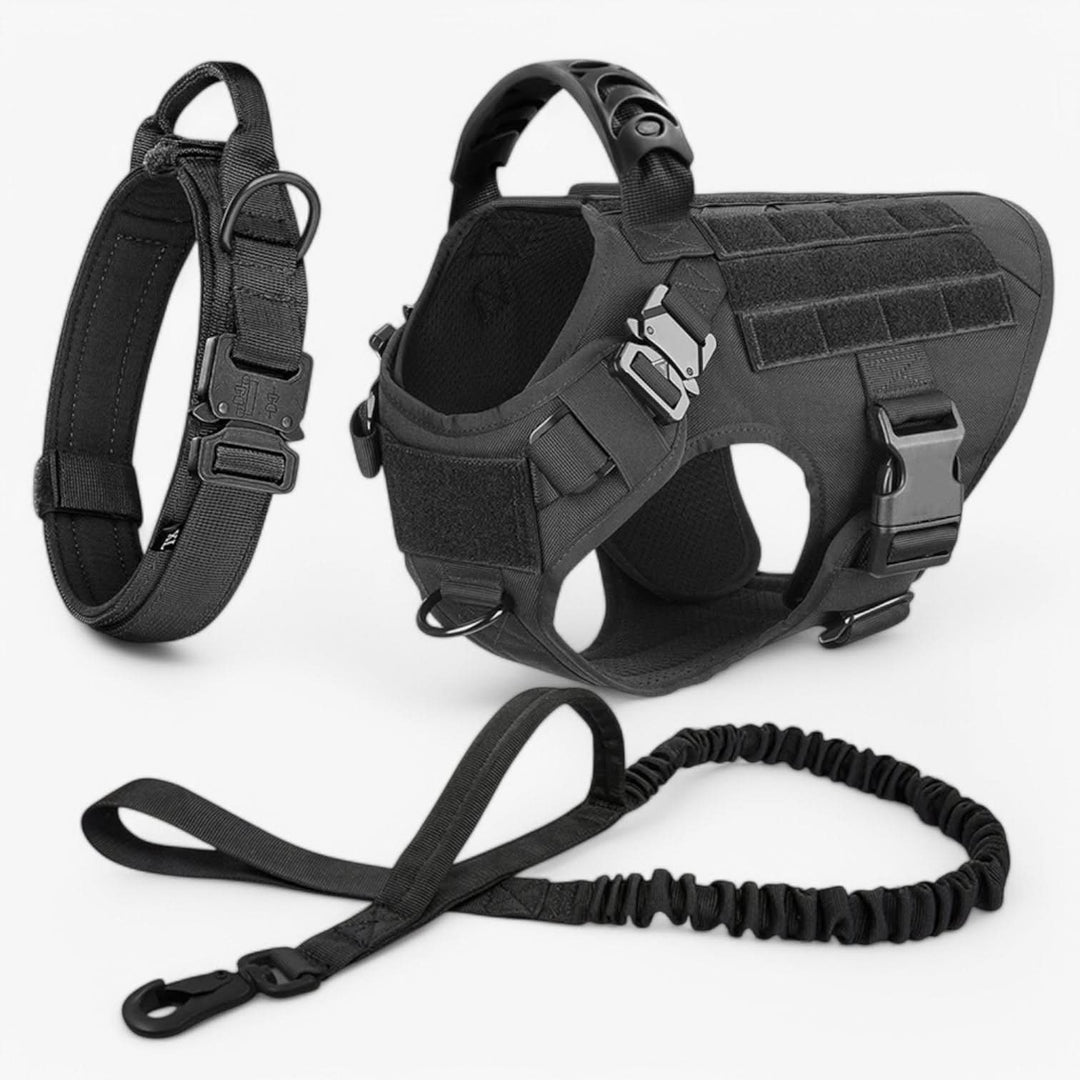 Harnais tactique chien robuste, réglable, respirant et anti-traction : contrôle et confort.