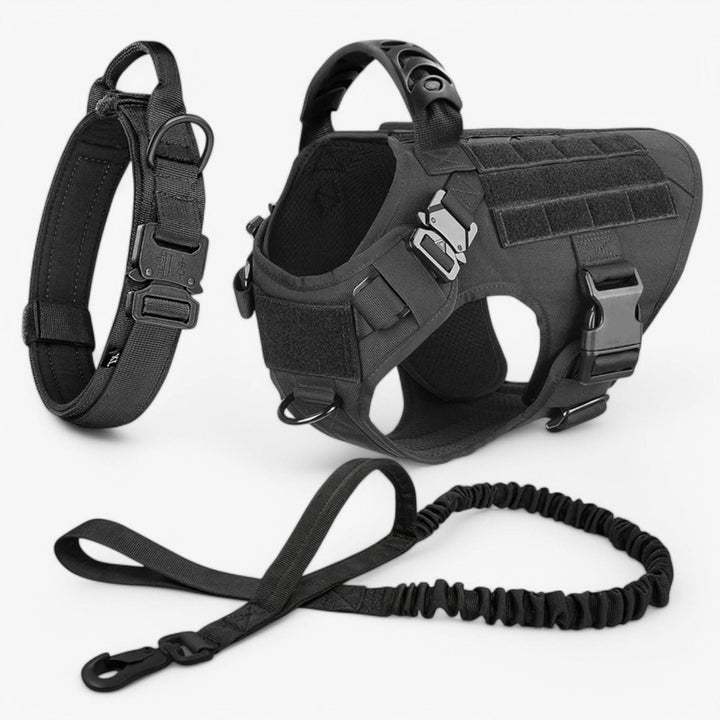 Harnais tactique chien robuste, réglable, respirant et anti-traction : contrôle et confort.
