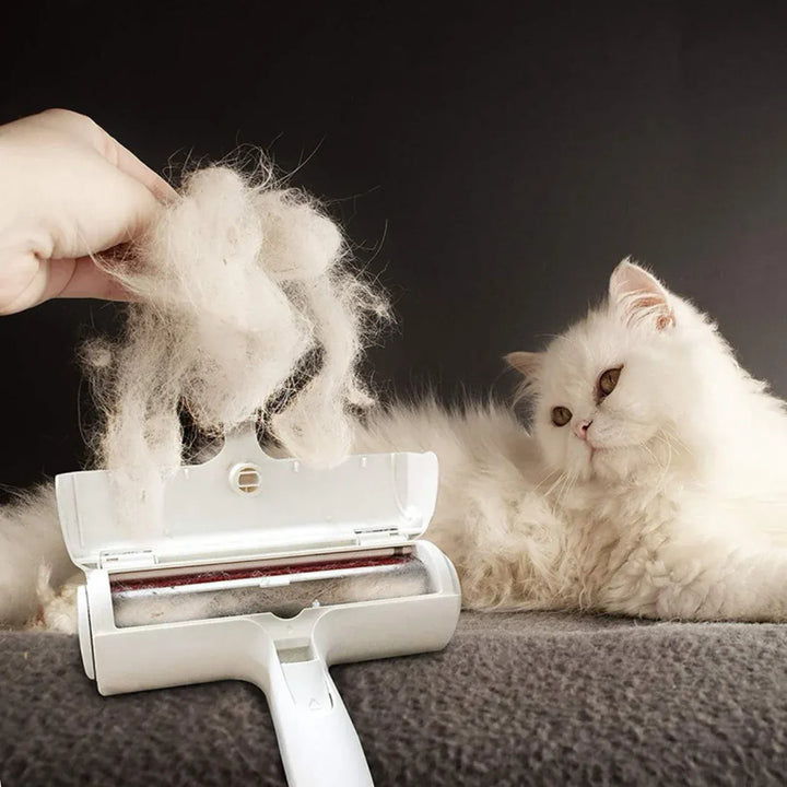 Brosse efficace anti-poils de chien et chat. Idéale pour nettoyer tapis, canapé et vêtements. Réutilisable.