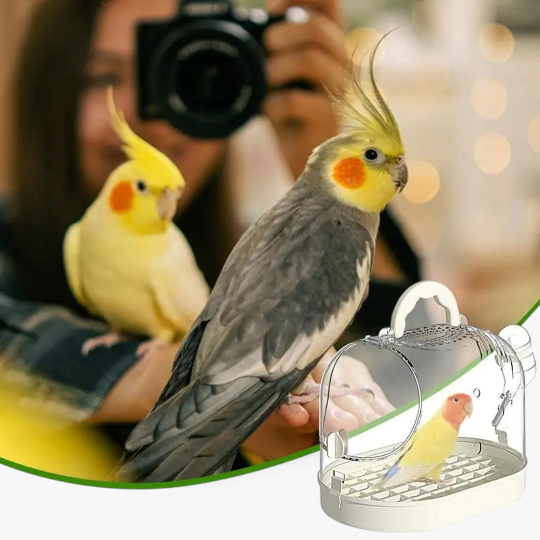 Cage de transport légère et respirante pour petits animaux. Convient aux hamsters, oiseaux et autres petits compagnons.