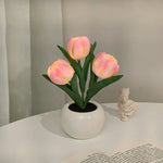 Tulipe rose à 3 têtes