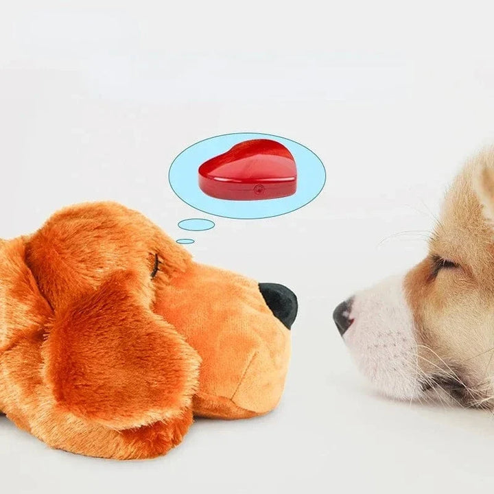 Jouet pour chien anxiété, peluche avec cœur battant pour réconforter et calmer les chiens stressés.