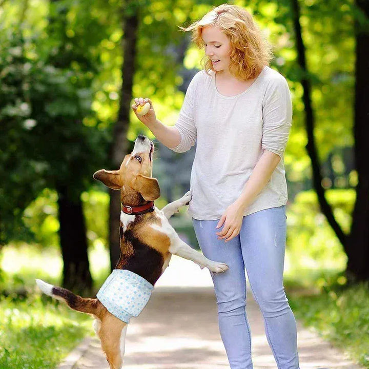 Couche pour chien ultra absorbante, jetable, pour l'hygiène canine, protection contre les fuites et grand confort.
