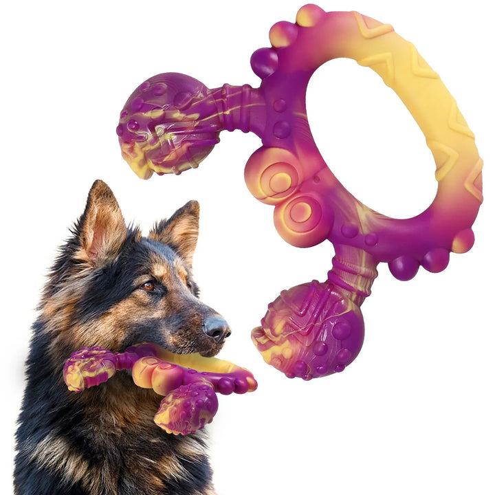Jouet pour chiot ou grand chien, saveur bœuf, ultra-résistant pour hygiène dentaire saine.