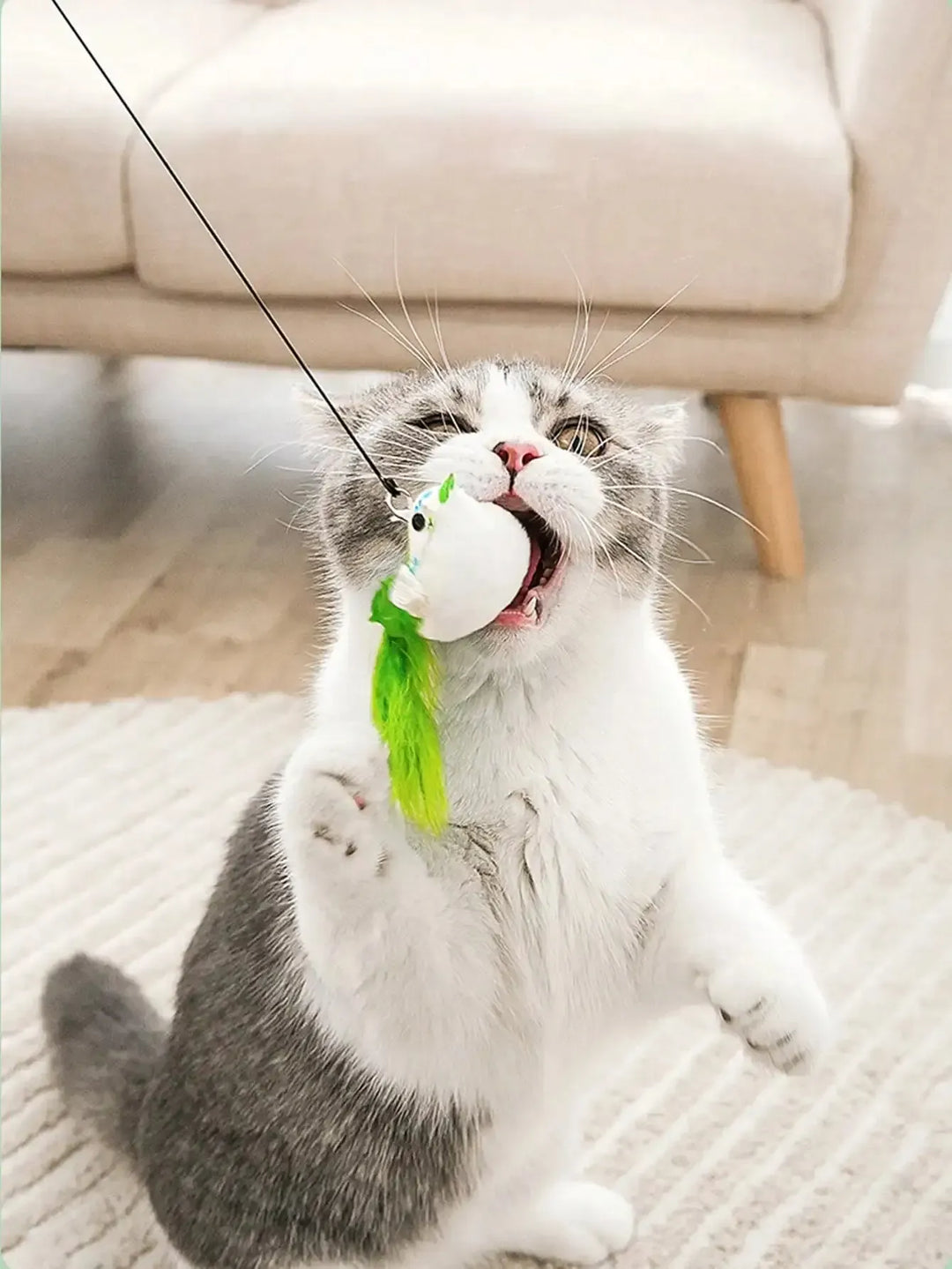 Jouet chat plume et ventouse, parfait pour stimuler l'instinct de chasse et le divertissement interactif du chat.