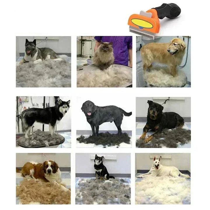Accessoire de toilettage essentiel pour chiens et chats, brosse efficace contre les poils morts.