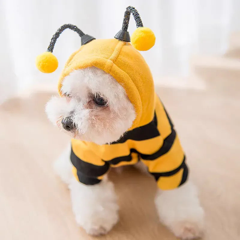 Costume d'abeille douillet et unisexe pour chaton ou chiot, idéal pour fêtes d'animaux en hiver.