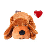 Chien marron battement de cœur