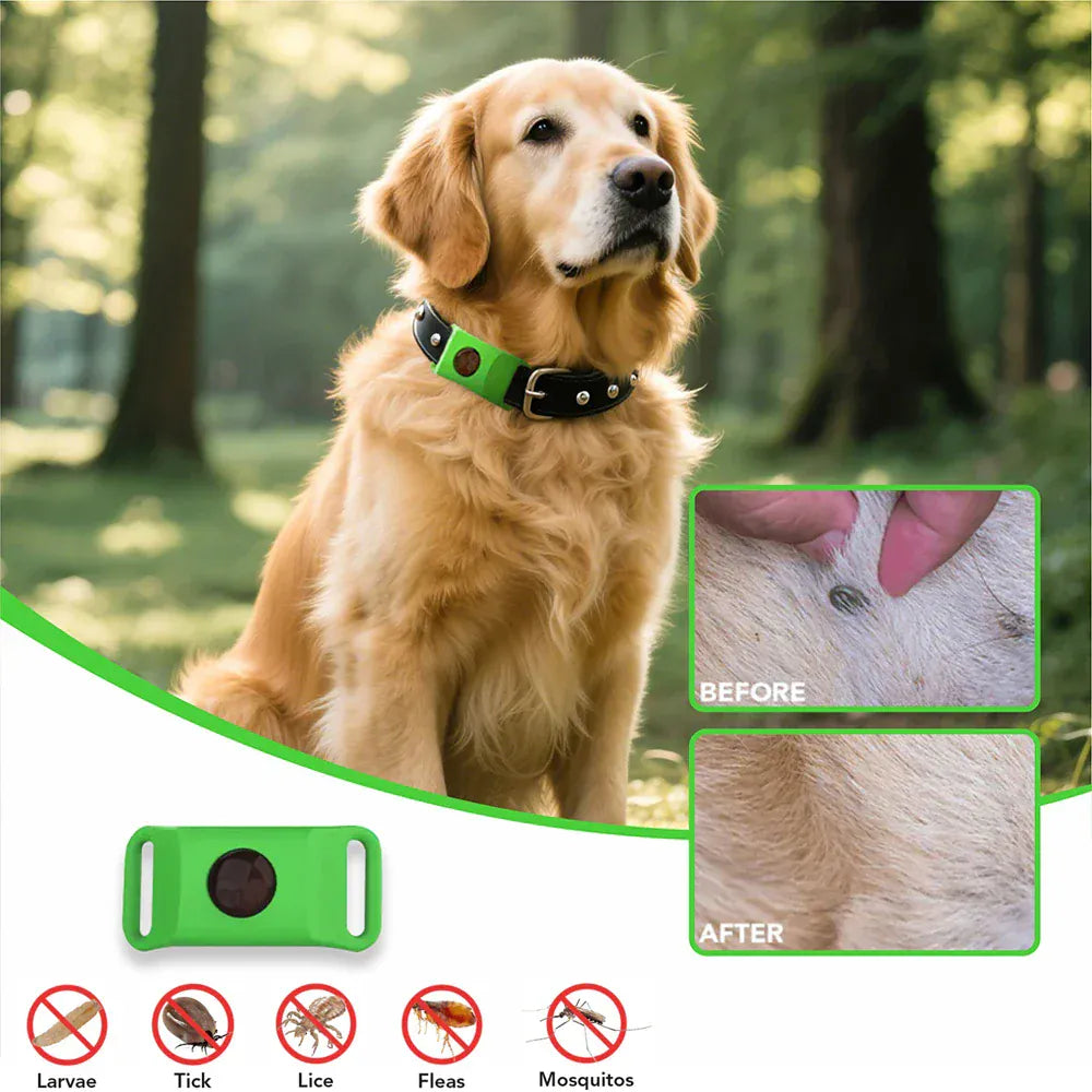 Pendentif anti-puces naturel pour chien, protection longue durée contre les parasites.