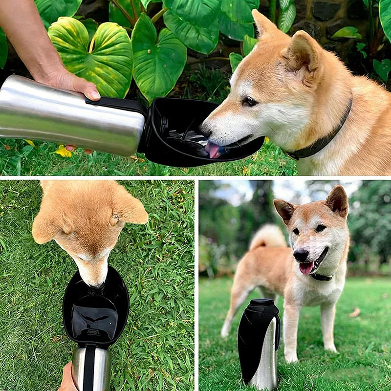 Gourde d'eau pour chien, bol pliable intégré, parfaite pour le voyage et l'hydratation rapide de votre animal.