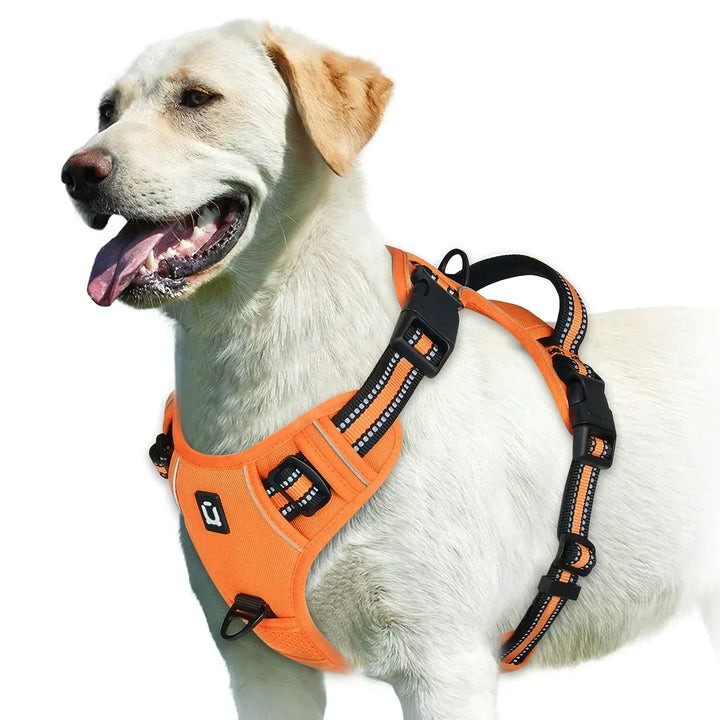 Harnais de promenade pour chien avec système anti-tirage. Facile à ajuster, il offre un grand confort.