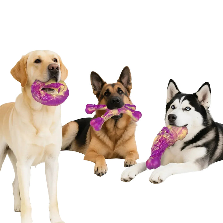 Jouet à mâcher durable goût bœuf, parfait pour l'hygiène dentaire des chiots et chiens.
