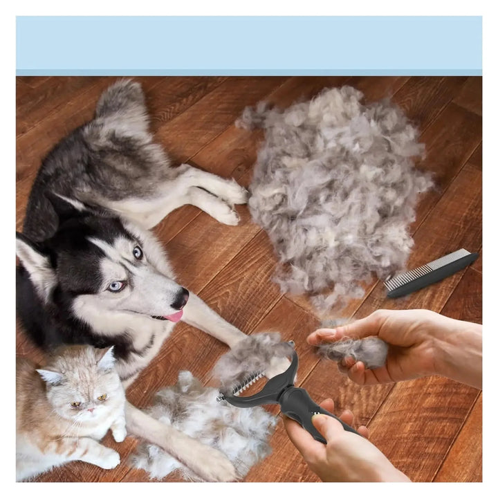 Peigne et brosse 2-en-1 pour chien/chat. Outil essentiel pour enlever les poils morts et démêler le pelage facilement.