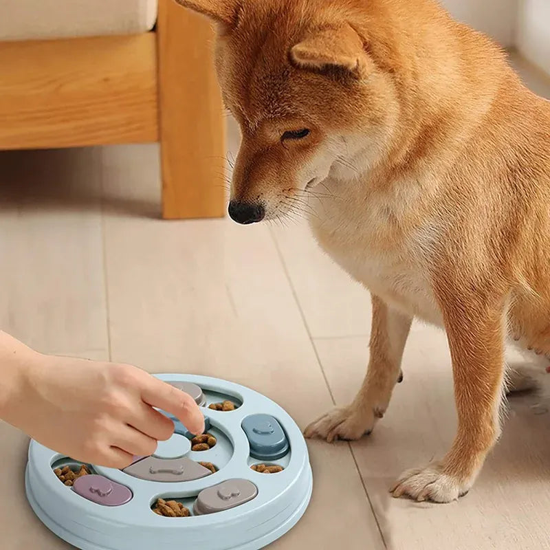 Chien résolvant le puzzle interactif, stimulant son intelligence et réduisant l'ennui avec des friandises.