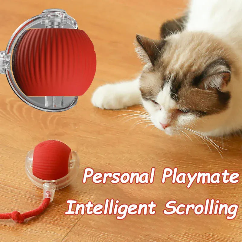 Balle jouet autonome en silicone pour chats, garantissant stimulation féline et divertissement continu.