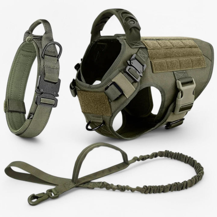 Harnais tactique design pour chien, alliant robustesse et esthétique moderne, pour tout aventurier.