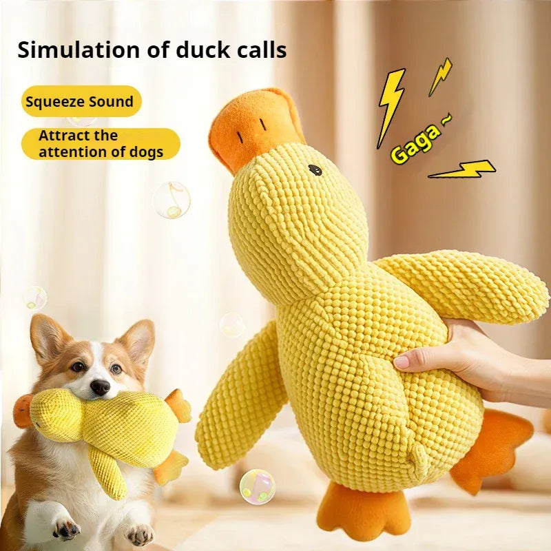 Joli jouet canard couineur pour chien, stimulant et amusant, encourage le jeu actif chez les animaux de compagnie.