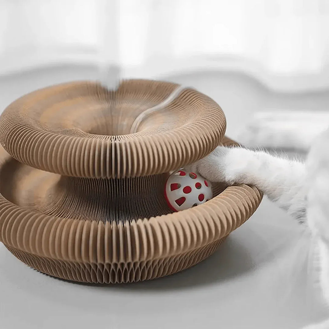 Un chat heureux utilise son grattoir pliable, un jouet interactif pour griffes saines et meubles intacts.