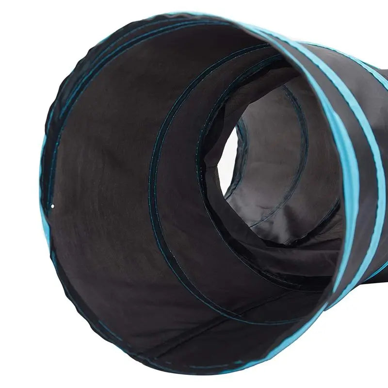 Chat joueur dans tunnel pliable 3 voies, noir et bleu, stimulant l'instinct de chasse et le jeu interactif.