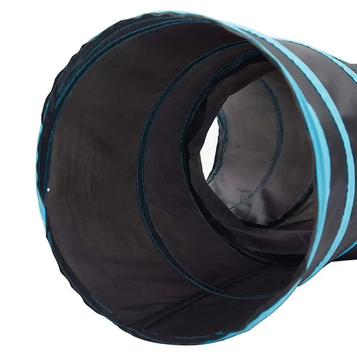 Chat joueur dans tunnel pliable 3 voies, noir et bleu, stimulant l'instinct de chasse et le jeu interactif.
