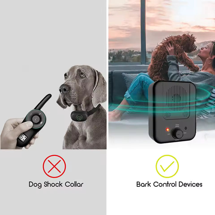 Dispositif anti-aboiement extérieur pour chiens, aide à la tranquillité en jardin ou cour.