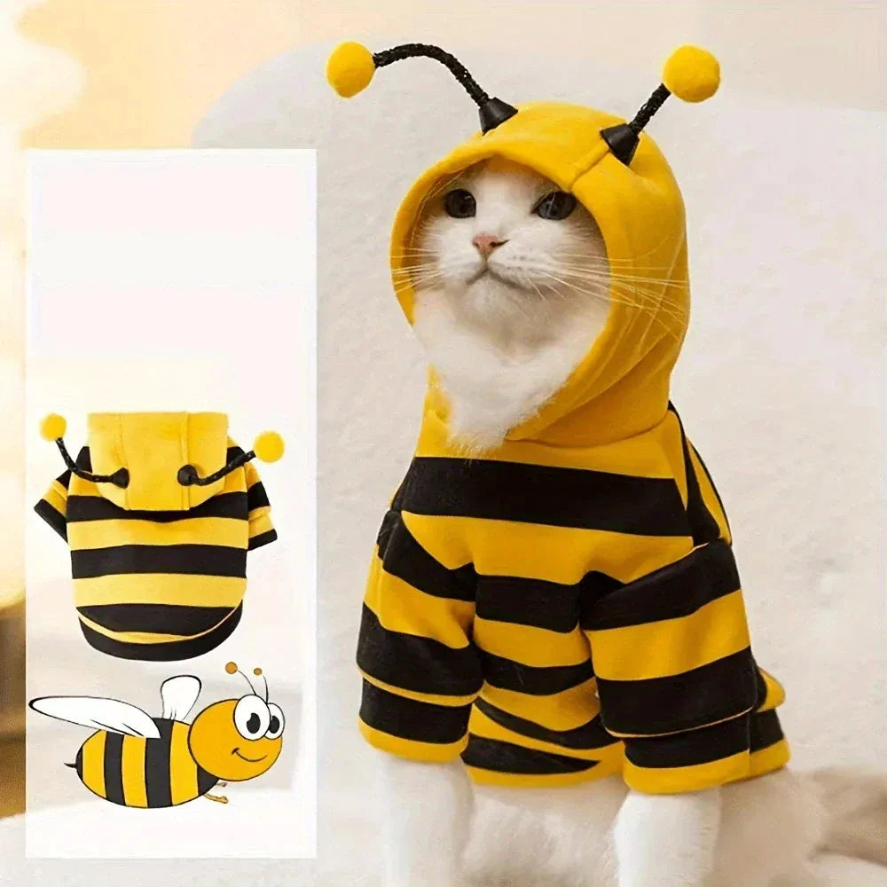 Déguisement abeille doux pour chat ou petit chien, parfait pour Halloween ou cosplay d'animaux.