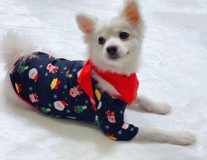 Pyjama Noël assorti pour enfants. Motifs joyeux. Parfait pour les fêtes de fin d'année et le confort hivernal.