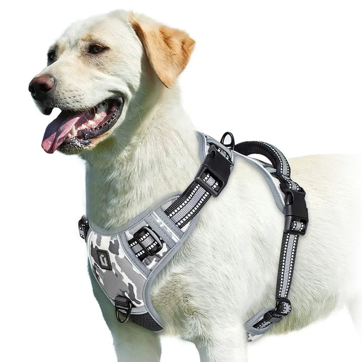 Harnais robuste et ajustable pour chien. Idéal pour des balades sans tirage et un confort maximal.
