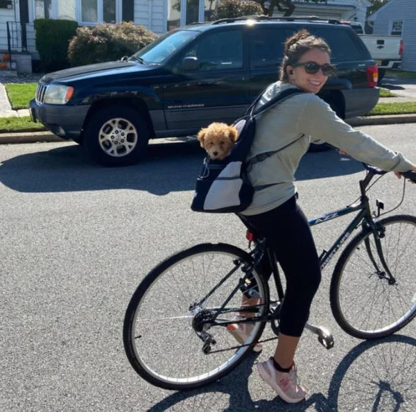 Sac à dos ergonomique pour chien, garantissant un transport sûr et agréable pour votre animal de compagnie.
