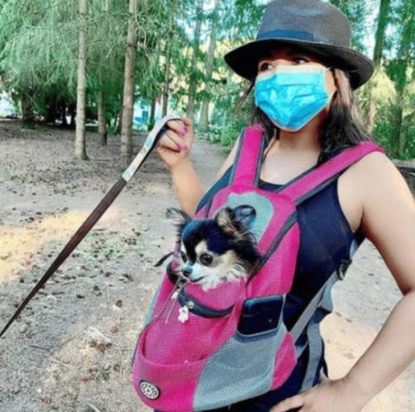 Sac à dos transparent pour chien, offrant une vue panoramique à votre animal pendant les balades en toute sécurité.