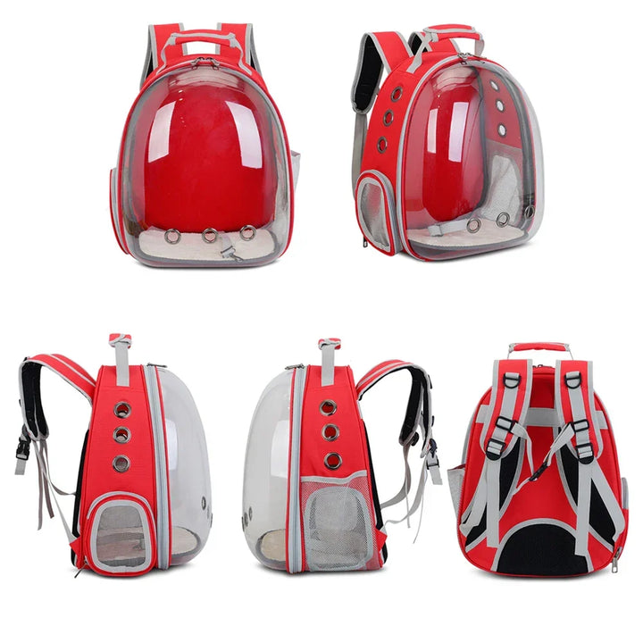 Sac PetRoyale transparent pour chat. Sécurisé, ventilé et confortable pour les sorties et les voyages.