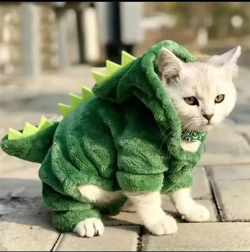 Déguisement dinosaure chaud et doux pour chat ou petit chien. Costume animal en polaire, idéal pour l'hiver ou Halloween.