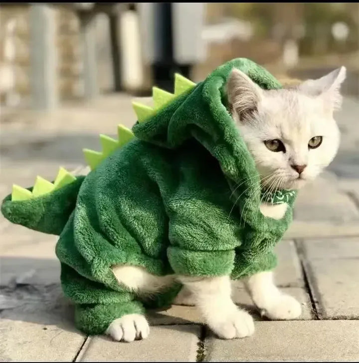 Déguisement dinosaure chaud et doux pour chat ou petit chien. Costume animal en polaire, idéal pour l'hiver ou Halloween.