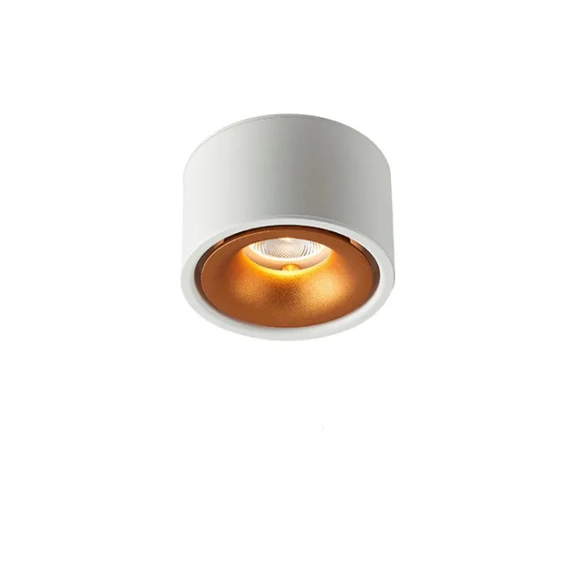 Spot LED orientable pour éclairage de plafond encastré, lumière d'accent, met en valeur vos objets d'art.
