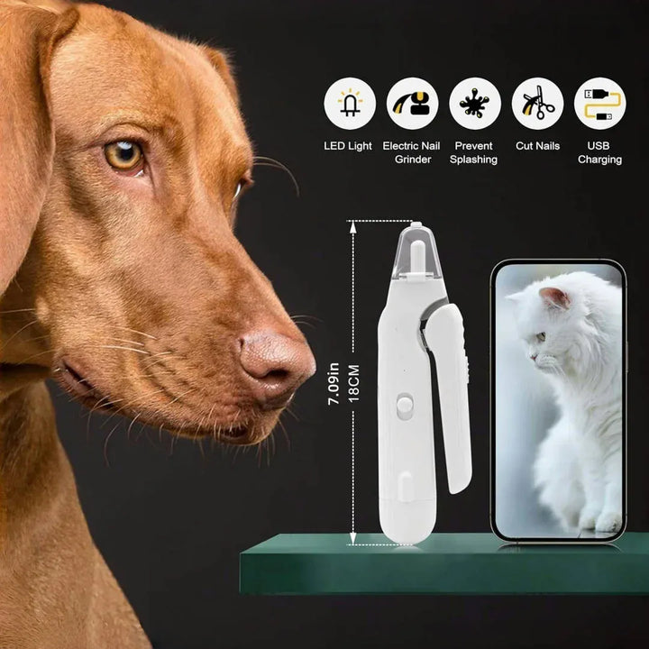 Outil de toilettage facile pour animaux. Coupe-ongles LED pour chats/chiens, coupe rapide et sécurisée.