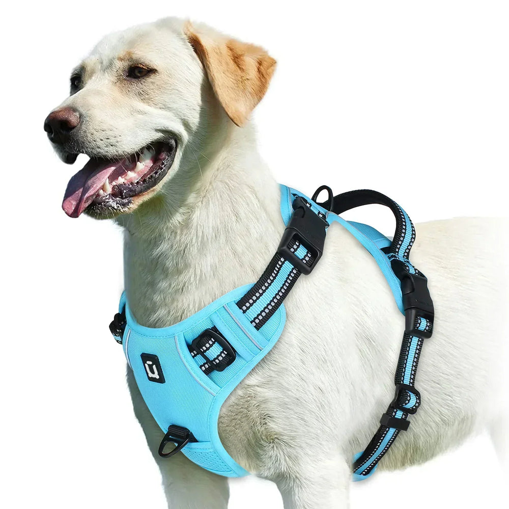 Harnais ergonomique pour chien, conçu pour un contrôle efficace de la traction durant les promenades.