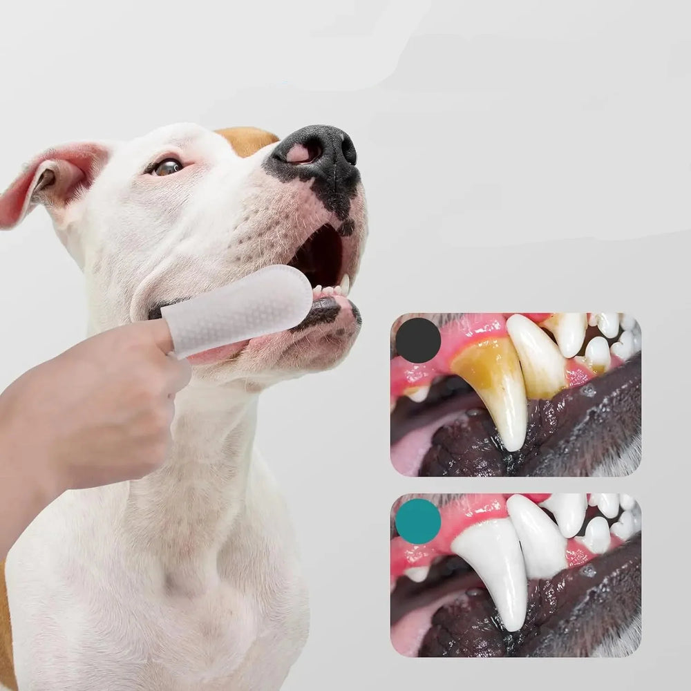 Chiens et chats retrouvent des dents propres et une haleine fraîche grâce à ces lingettes dentaires doigt. Soin buccal.