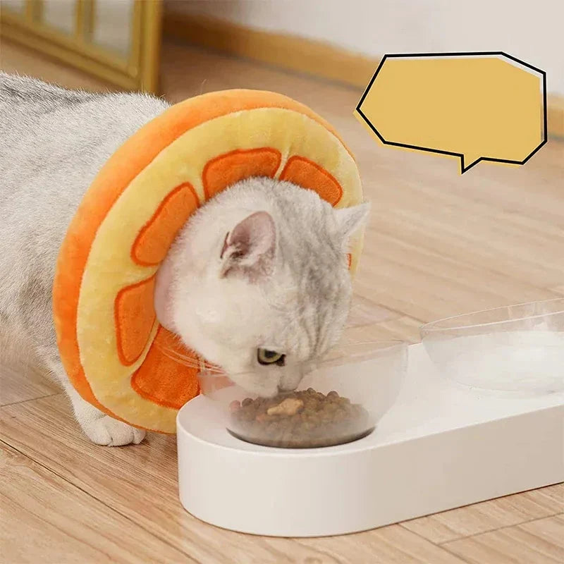 Protégez votre chat avec cette collerette anti-léchage confortable et réglable, idéale pour la convalescence.