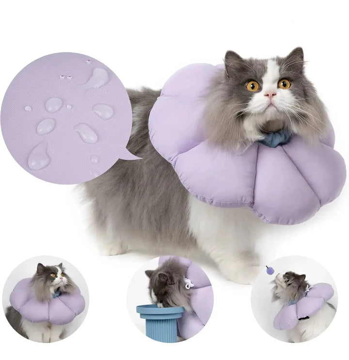 Collerette ajustable pour chat. Collier de protection vétérinaire doux, assure confort et guérison rapide.