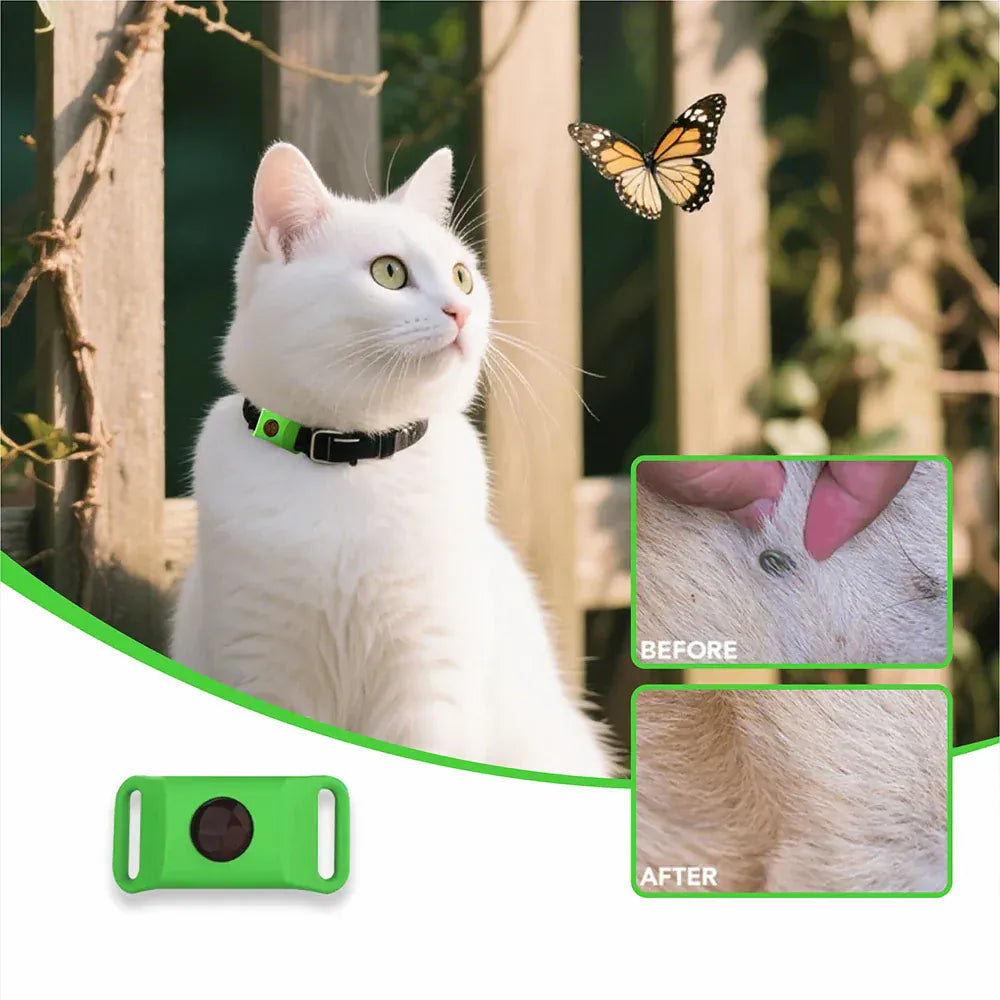 Accessoire anti-tiques pour chien, pendentif naturel aux extraits végétaux protecteurs.