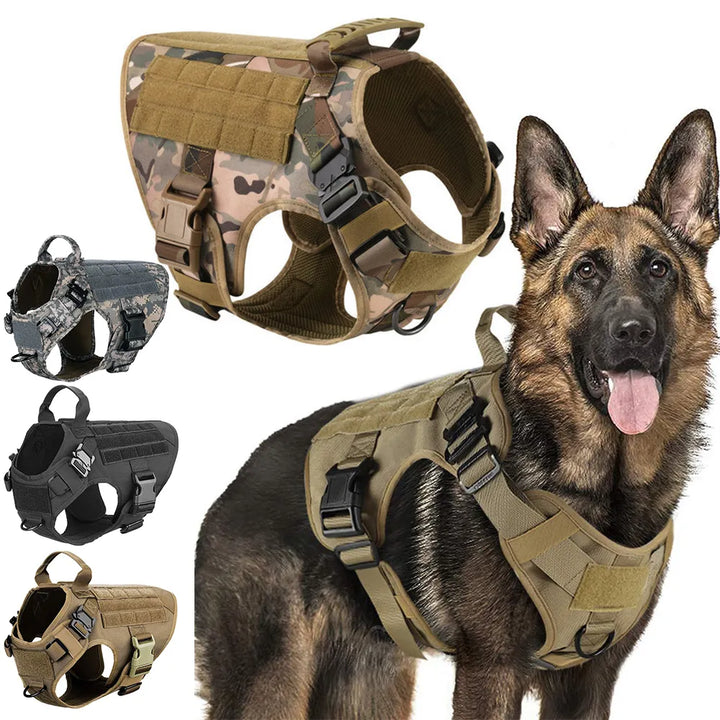 Harnais militaire TacticalElite K9 et laisse pour grands chiens : Berger Allemand, Malinois. Idéal pour dressage et entraînement.