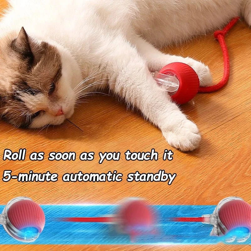 Balle interactive intelligente pour chat, en silicone durable et ABS, pour un jeu stimulant et amusant.