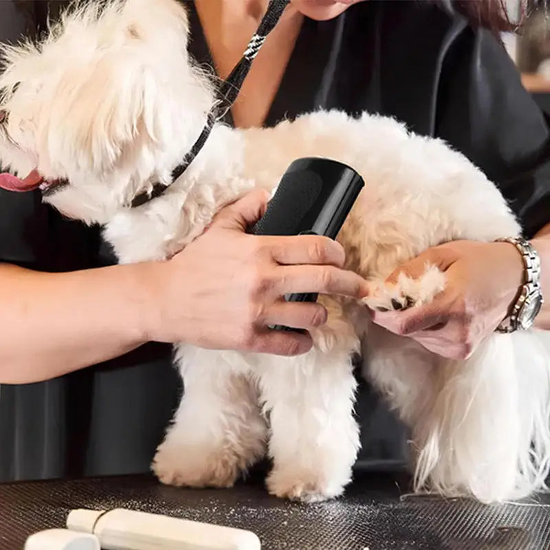 Élimine efficacement les poils morts des chiens et chats. Brosse de toilettage ergonomique pour un pelage sain.